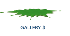 gallery3